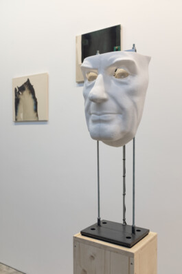 Darko Velazquez